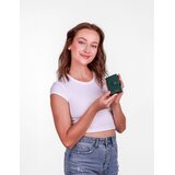 Vuch Ženski etui za dokumente Colle Green, 10 x 6,5 cm | shoptok.hr