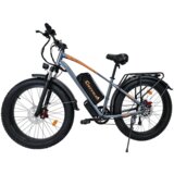 Cheevalry Električno gorsko kolo CF26, 1000 W 48 V 20 Ah, sivo, (21960231) Cene