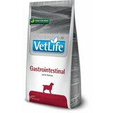  vetlife dog gastrointestinal 2kg Cene