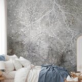 Artgeist Foto tapeta - Clear Branching 150x105 | shoptok.hr