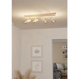 Eglo zidna lampa spot Townshend-3 33172 | Eponuda.com