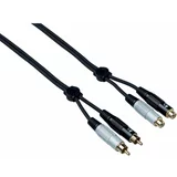 Bespeco EA2X300 3 m Audio kabel