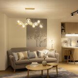 Brilagi zamensko staklo za luster, zidno svetilo i lampu mistel,milla fi 8 cm zlatno | Eponuda.com
