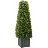 vidaXL Eukaliptus trava toranj Zelena 27 x 27 x 90 cm Plastika | shoptok.hr