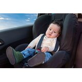 Dooky sigurnosna zaštita za pojaseve Seatbelt Safety Clip | shoptok.hr