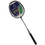 Spartan Badminton lopar Drop Shot, (676358) Cene