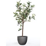 Emerald Umetna mini oljka 65 cm | Shoptok.si