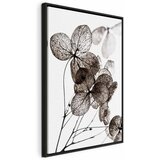  Slika - Transparent Clover (1 Part) Vertical 80x120 U crnom drvenom okviru | shoptok.hr