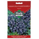 Floris seme cveće-grmolika kamenjarka 05g FL Cene