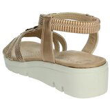 Amarpies ABZ26556 Smeđa | shoptok.hr