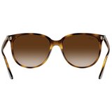 Ray-ban RB4378 710/13 ONE SIZE (54) Havana/Rjava | Shoptok.si