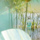 Hermes Un Jardin Sur Le Nil toaletna voda 100 ml unisex | shoptok.hr