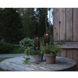 Star Trading Komplet 2 zunanjih solarnih svetilk LED Izola, višina 18 cm | Shoptok.si