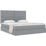  Postelja s shranjevanjem Svetlo siva 160 x 200 cm Umjetno usnje, (5000106624) | Shoptok.si