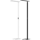 Hansa Stoječa LED-svetilka Larimar, senzor na dotik, višina 1997 mm, bele barve | Shoptok.si