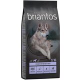 briantos Adult raca in krompir – BREZ ŽIT - 12 kg Cene