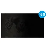 NFP-1478 owl, privacy filter for 24'' screen