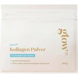 MARINE Collagen Powder - 300 g | Shoptok.si