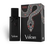 Fragrance World French Avenue Muški parfem Vulcan Black Friday, EDP, 100 ml Cene
