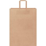  Papirnate vrećice 250 kom s ručkama smeđe 32x17x44 cm | shoptok.hr