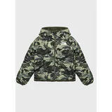 The North Face Puhovka Printed NF0A7WOP Zelena Regular Fit