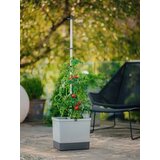 Gusta Garden komplet rastlinskih loncev tom tomato Cene
