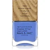Vegan Nail Polish dolgoobstojen lak za nohte odtenek Soul Surfing 14 ml