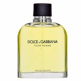 Dolce & Gabbana Pour Homme Toaletna voda za moške 200 ml | Shoptok.si