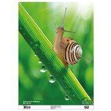 Ram Clip-Fix 30x40 ( TTO 403272 )