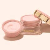 Dolce & Gabbana Fresh Skin Glow-Bounce Ceramide Cream Refill vlažilna in mehčalna krema nadomestno polnilo 50 ml | Shoptok.si
