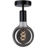 PAULMANN 79760 - Plafonsko svetlo HALDOR 1xE27/20W/230V | Eponuda.com