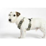 MiaCara Zeleni uprtač M dužina 35 cm Modena Grolive M – | shoptok.hr