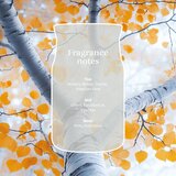 Yankee Candle Silver Birch dišeča sveča Signature 110 g | Shoptok.si