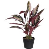 Ixia Umjetna biljka (visina 55 cm) Bird of Paradise – | shoptok.hr
