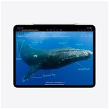 Apple tablet 13-inch iPad Pro (M4) WiFi 512GB with Standard glass