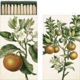  Vžigalice "Pomaranče" - 1 kos | Shoptok.si