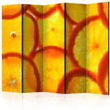  Paravan u 5 dijelova - Orange slices II [Room Dividers] 225x172 Cijene