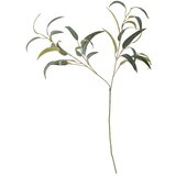 Bloomingville Umetni evkaliptus (višina 101 cm) – Cene