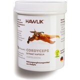 Hawlik bio Cordyceps CS-4 ekstrakt - kapsule - 240 kaps. Cene