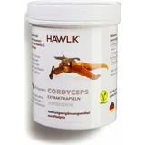 Hawlik bio Cordyceps CS-4 ekstrakt - kapsule - 240 kaps.