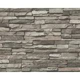 Tapeta iz netkane tekstilije AS CREATION Wood-n-Stone (bež-sivo-črna, videz kamenja, 10,05 x 0,53 m)