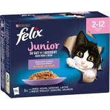 Felix Junior Fantastic "So gut wie es aussieht" - Piščanec, govedina, losos, sardina 48 x 85 g | shoptok.hr