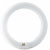  Fluorescentna cev Philips MASTER G10q/22W/230V 4000K prečnik 21,35 cm Cene