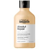  Šampon za jako oštećenu kosu Loreal SE Absolut Repair – 300 ml (R) | Eponuda.ba