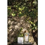 Erbario Toscano Fiori d’Arancio osvježavajući gel za tuširanje 250 ml | shoptok.hr
