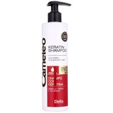 Delia Cosmetics Cameleo BB keratinski šampon za barvane lase in lase s prameni 250 ml | Shoptok.si