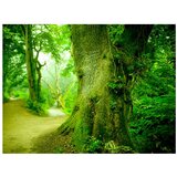  Tapeta - Forest pathway 200x154 | shoptok.hr