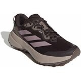 Adidas Ženske patike Terrex Tracefinder Plus Gtx W, JQ1962, Braon Cene