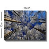 Wallity Slika na platnu Tablo-7, 70x100 cm | Eponuda.ba