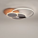 PAUL NEUHAUS 8328-79 - LED prigušiva plafonska svetiljka PALMA LED/50W/230V + daljinski upravljač | Eponuda.com